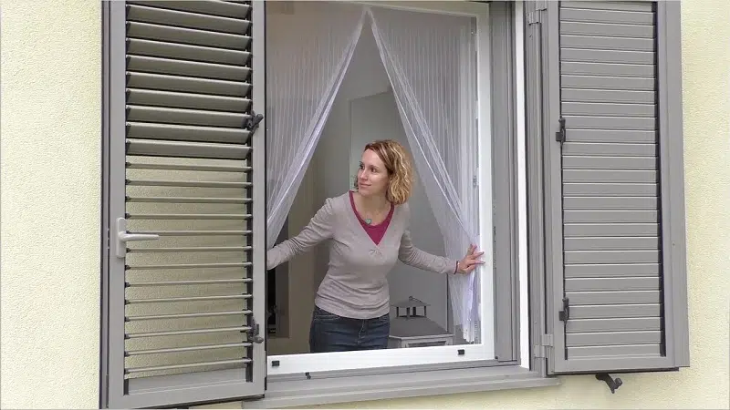 Moustiquaires fenêtre : sont-elles efficaces ?
